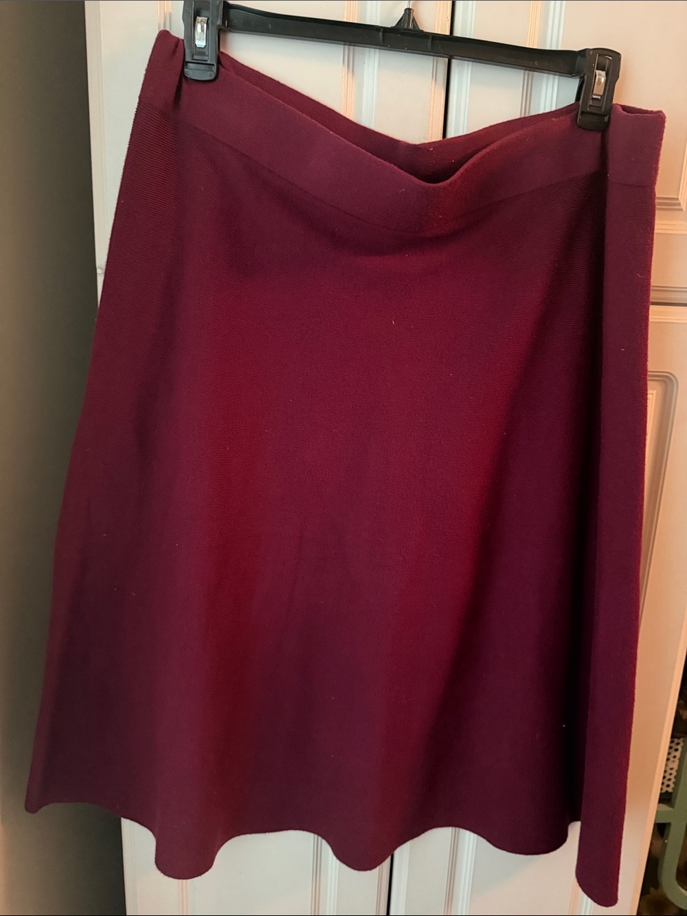 Liz Claiborne Women's Plum A-Line Skirt -l
